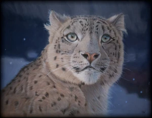 Tierportraits